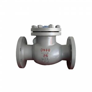 DN50 PN25 介質：甲胺，溫度：80℃止回閥